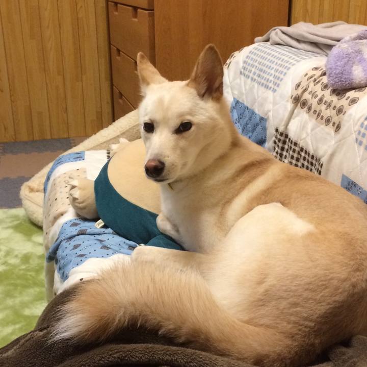 80341471 426d 41da 85c8 245f09fb5a9b