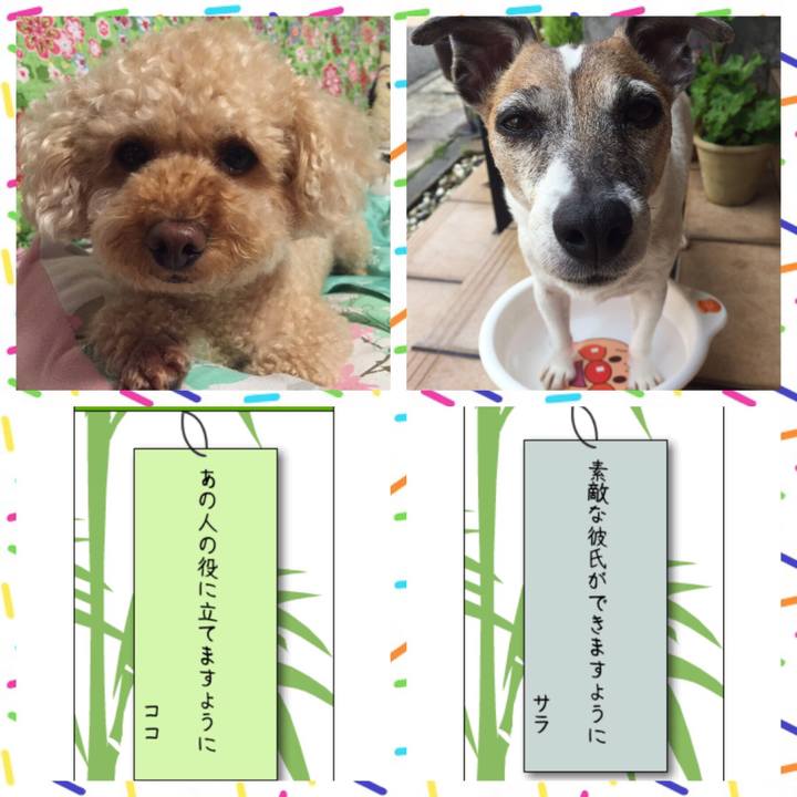 80342c92 0ae3 4794 937d ddaacad8284c