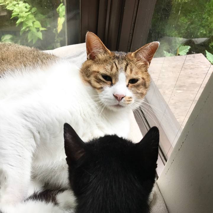 80345dd7 8937 48fe 8207 cde666ed109d