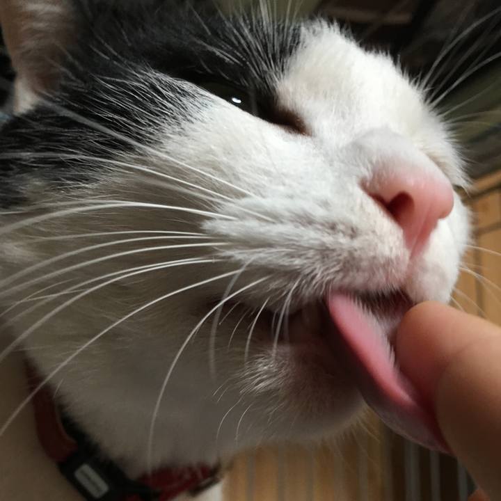 80348ebc 98f5 423c b720 f857effb585d