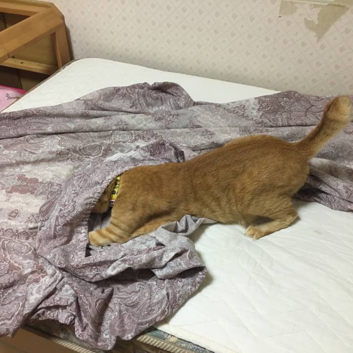 8034cdfd bffd 4bf8 977b 20433990bf05