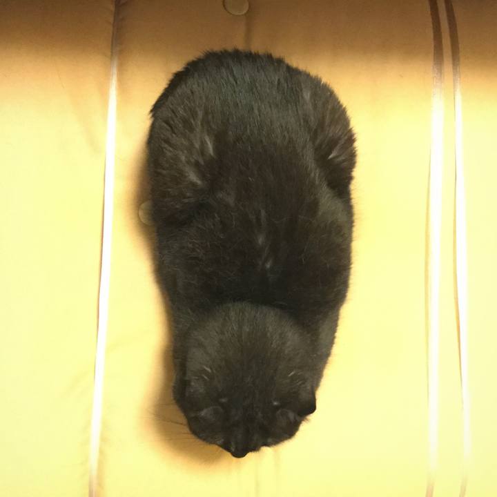 803558ef 53f6 4698 8f8d 05cc39078df9