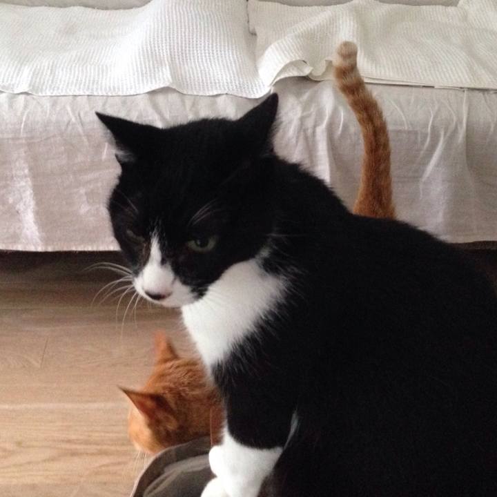 80367430 54f0 4e69 94d4 a0b5a0f482bf