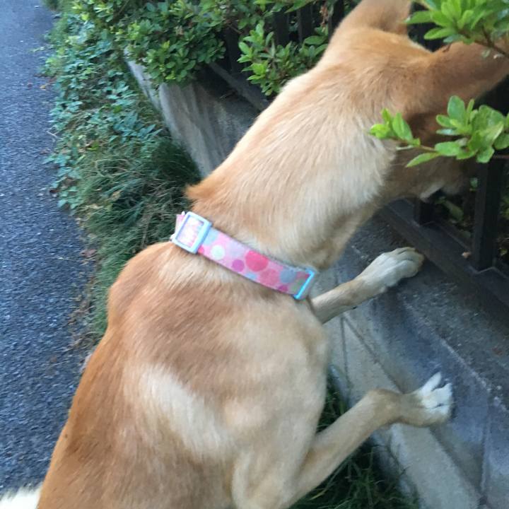 80368da4 ffaa 4769 84ae 2adb93f904e6