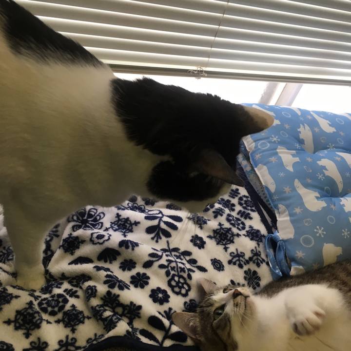 80369b52 9ae2 47c9 888f 5373de5fb0d3