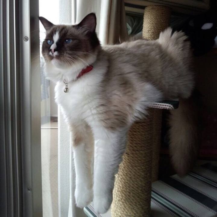 803733ae a574 43ec a86e ecce125976ec