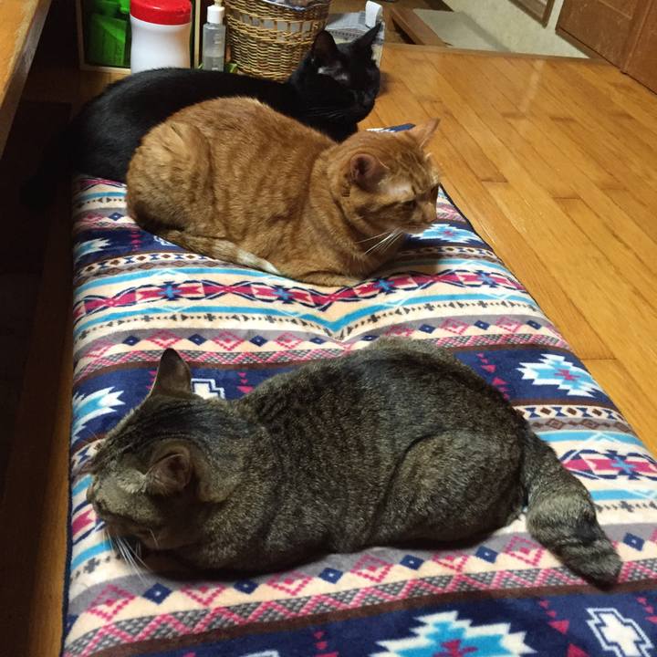 80376517 1825 4abc 8fd5 250349e92b26