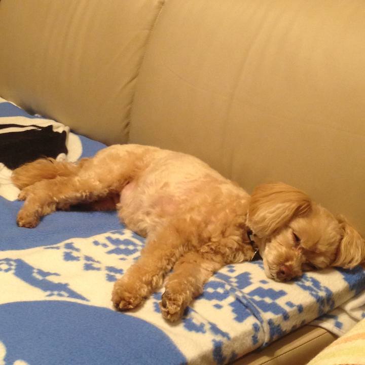 8037aaee 03ba 4aa7 bdce a20b4b926261