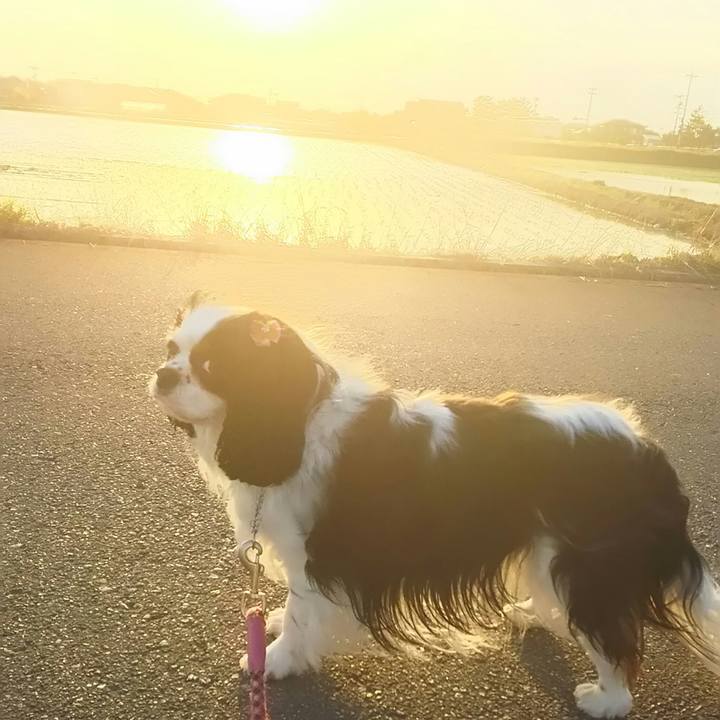 80383342 4b3c 4e7a bb02 44a5abe9a348