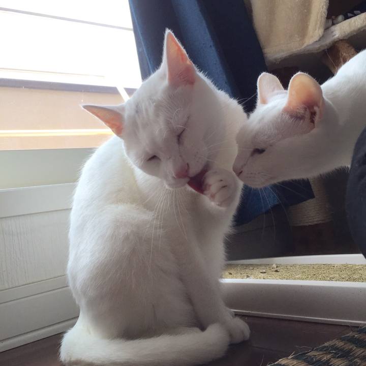 80394ffb 0b17 4e7f 9d8e 0b99edf5a4ca