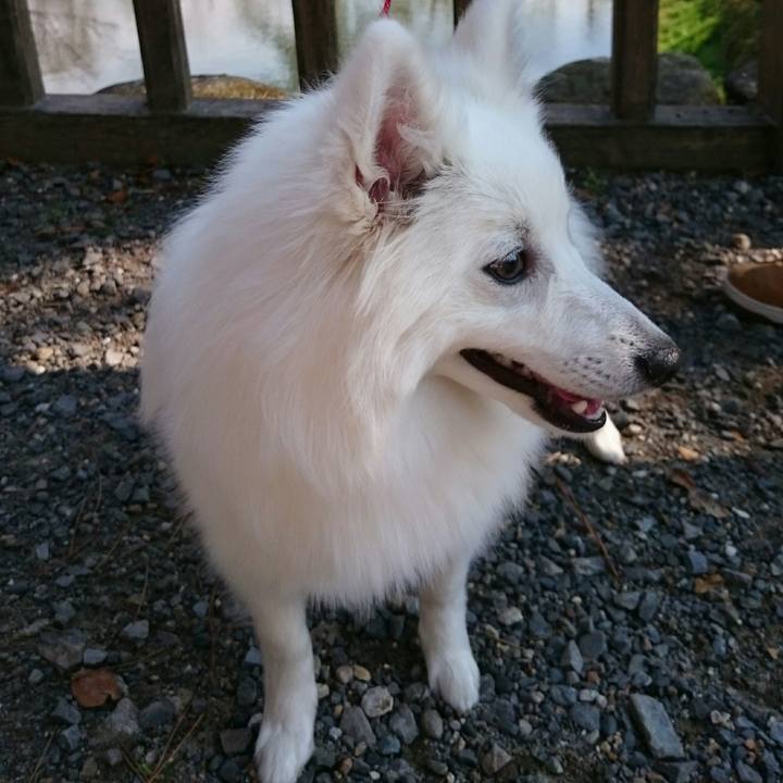 803a4b35 317d 4daf ae85 fc8973490373