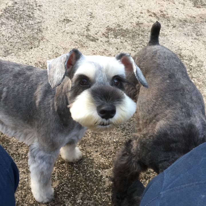 803a6255 20aa 4af1 a2af c1e68368bedf