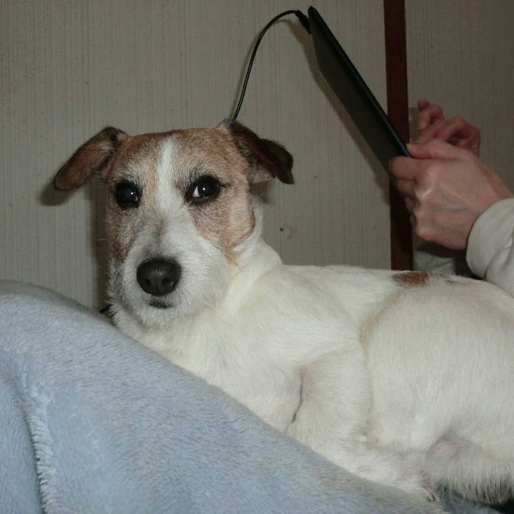 803a6dce b0e3 4e6b a117 278db7b79584