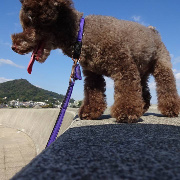 803b4430 ccf6 47a2 bb12 87478896bd98