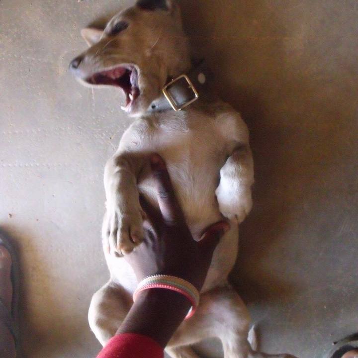 803b7fe8 61df 4f3e 8890 9467f1eea87e