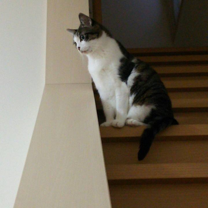 803ba9d6 09b5 4554 8637 05d7513d84f4