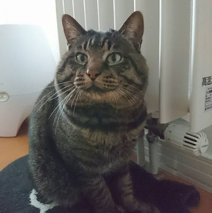 803bee52 06a1 4284 a678 a23ce46132c1