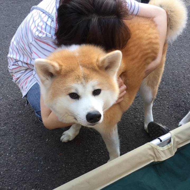 803c8162 4535 449e 8dfe 9f09a16f6445