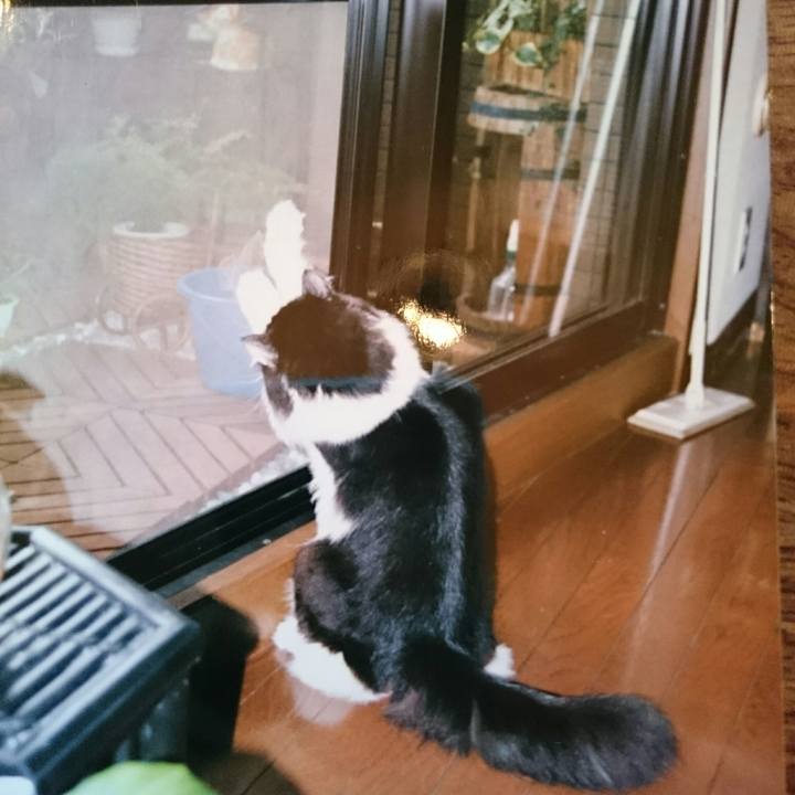 803d32b3 efe5 410f 9d27 c37dca5f1b5f