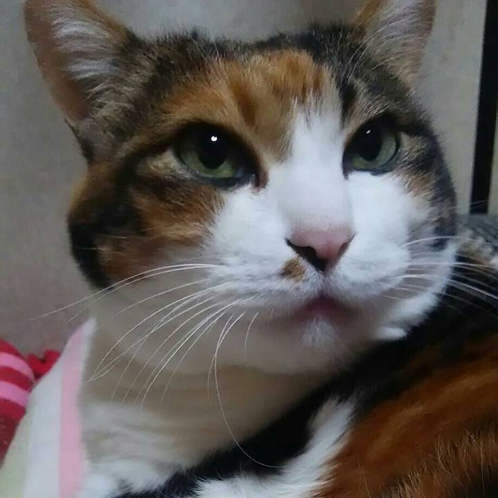 803d382a 7f48 4e19 be39 b11cc8fd52d1