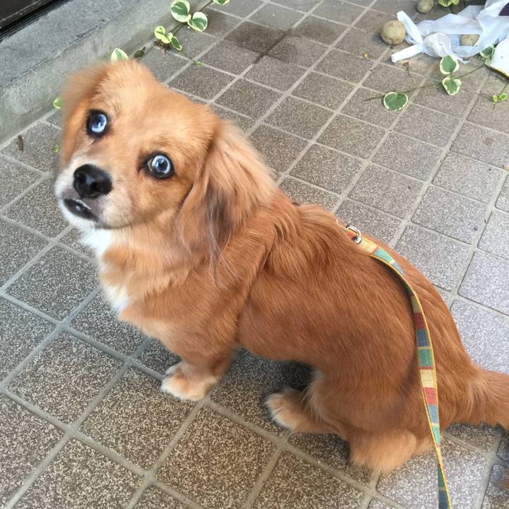 803d65df 3c41 432d ac3d d6e32992ff0e