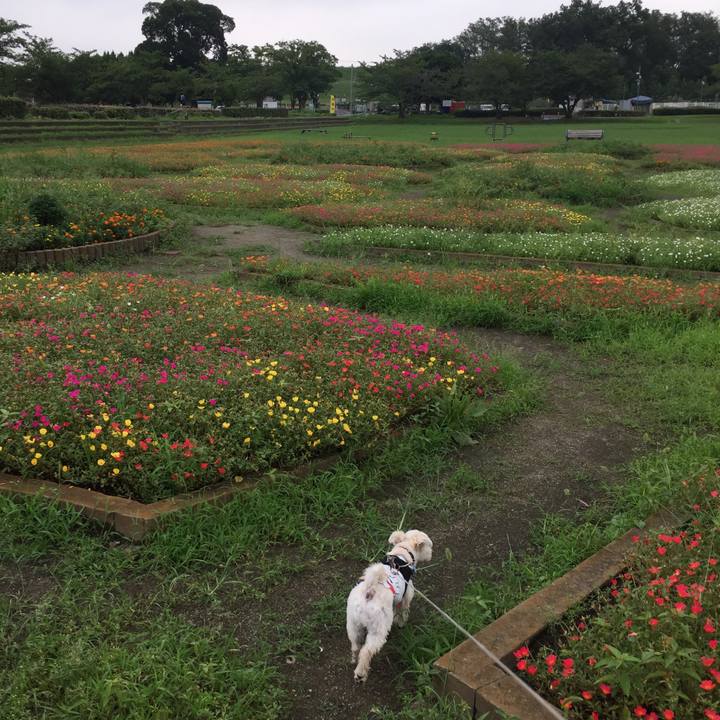 803da5c2 154a 4574 af21 e1ff396d98f4