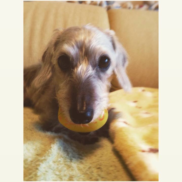 803de0e8 be38 46c0 9afc 271a137cf923