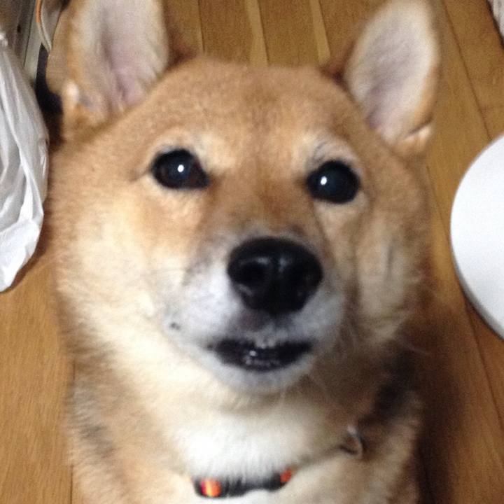 803e3f3d a579 4bc4 bcc7 f69264c072aa