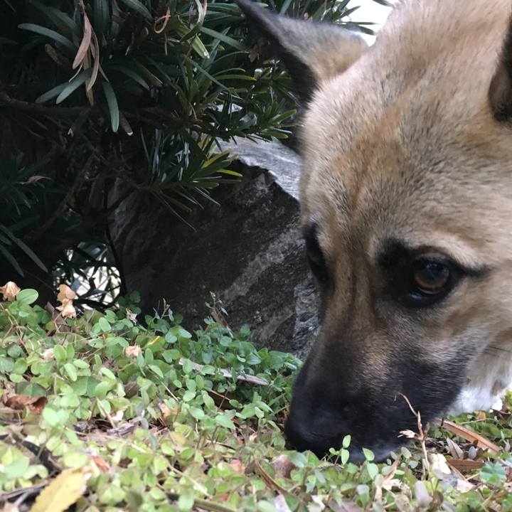 803e7909 6cc7 43e0 95d0 d89cfed4877a