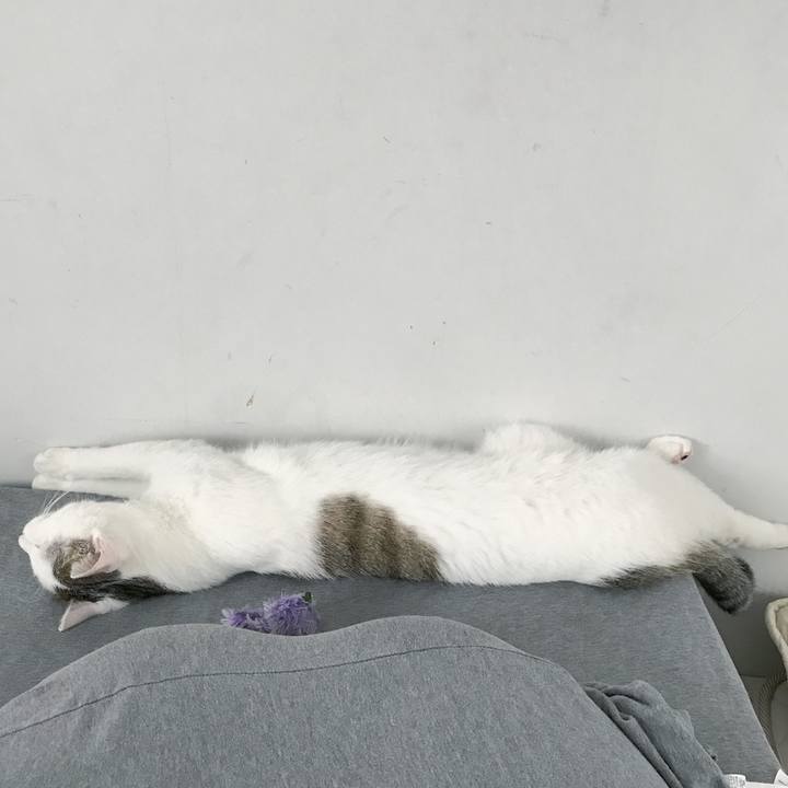 803e7b12 61fc 4621 9720 b73fc23d5065