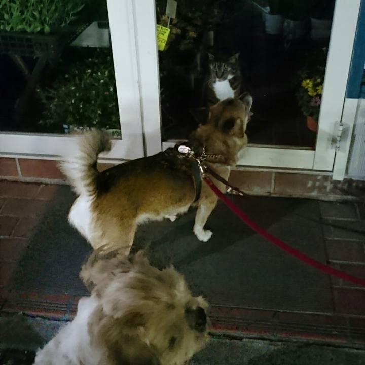 803efcf9 12ac 4982 bdf1 7252b5e61583