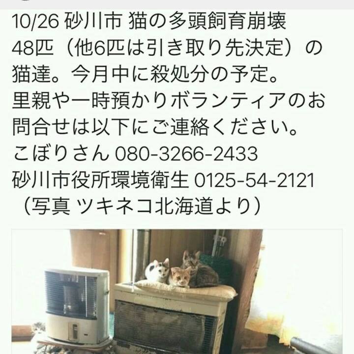 80406c9a 6c57 4958 b5d8 d706d84e66d0