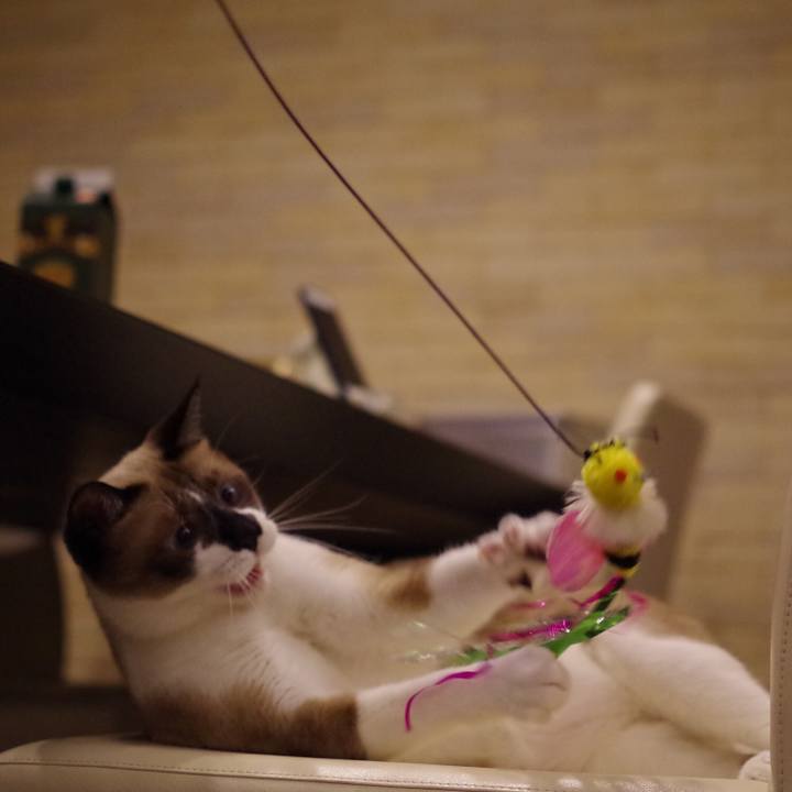 8040f190 57d6 4192 95b9 230a1db0be8f