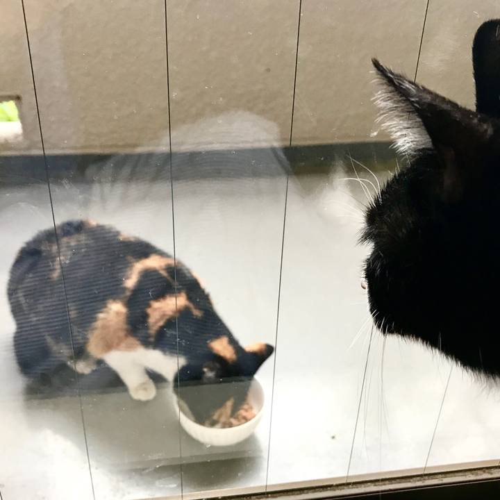 8042f3fa a7f2 462a 9ce8 e380d47f3b9b