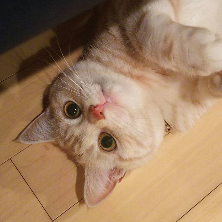 8043bd26 fe03 4659 a0ba 3a652270f681