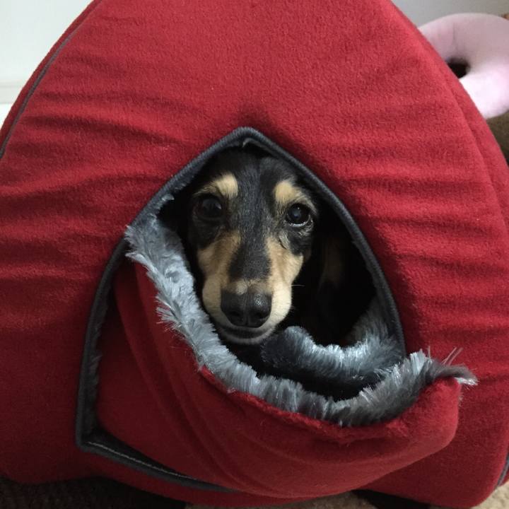 80443673 82ee 40ab b955 7c959c3264aa