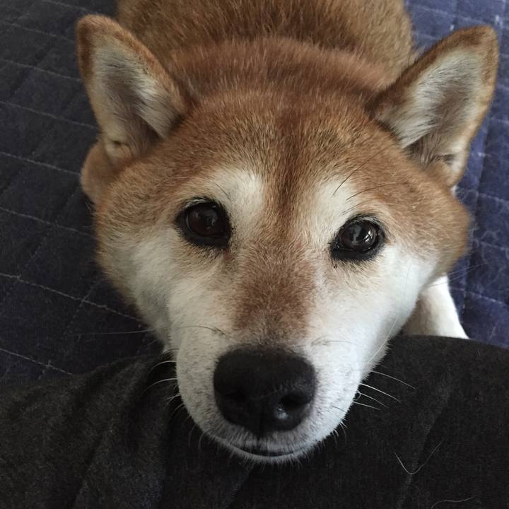 8044781e 3c8a 4ca5 a50e 7a98cb18a359