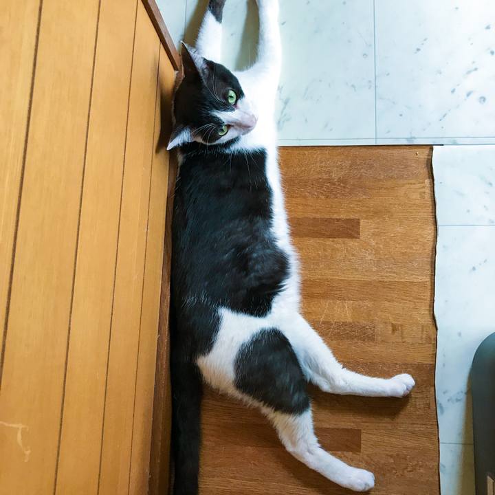 8044da14 7db1 4e4c 99b1 bc6427a82c74