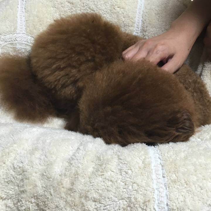 8044f037 8bcd 4e79 9711 4dc17da4a113