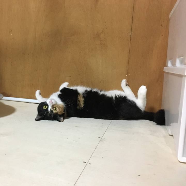 8044fd00 1dd5 44eb 898b 5ccc70cba767