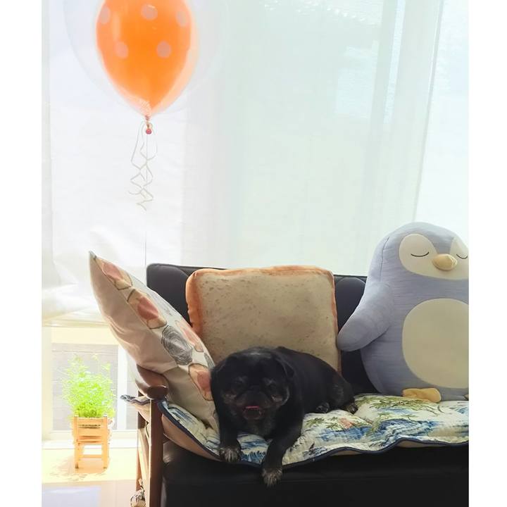 8045fc12 7212 41c8 803b d19ee671aeb3