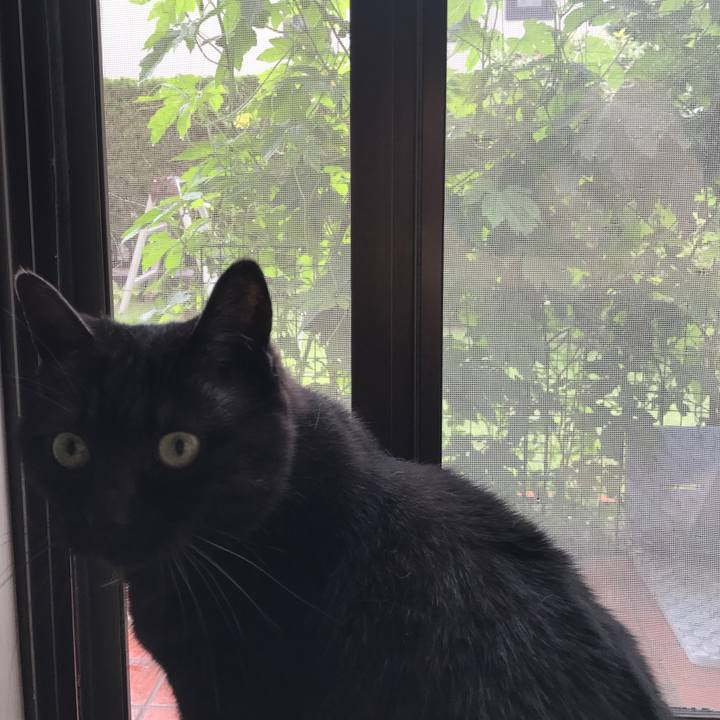 8046afaf 7d52 45d4 945c 928bf51eaaef