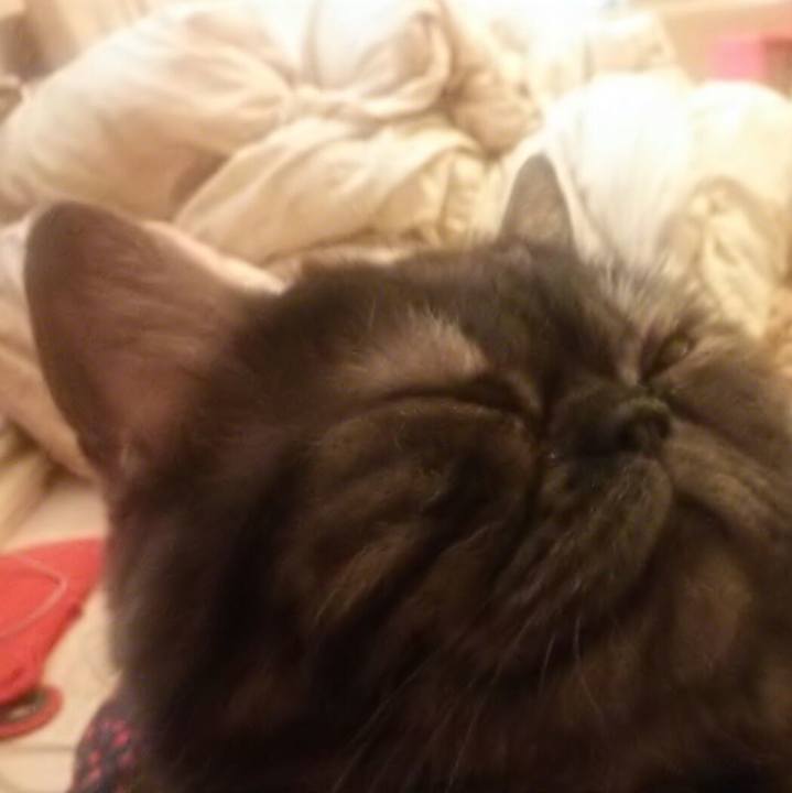 8046f0ad 6002 4c95 8ef9 b9f40195e10b