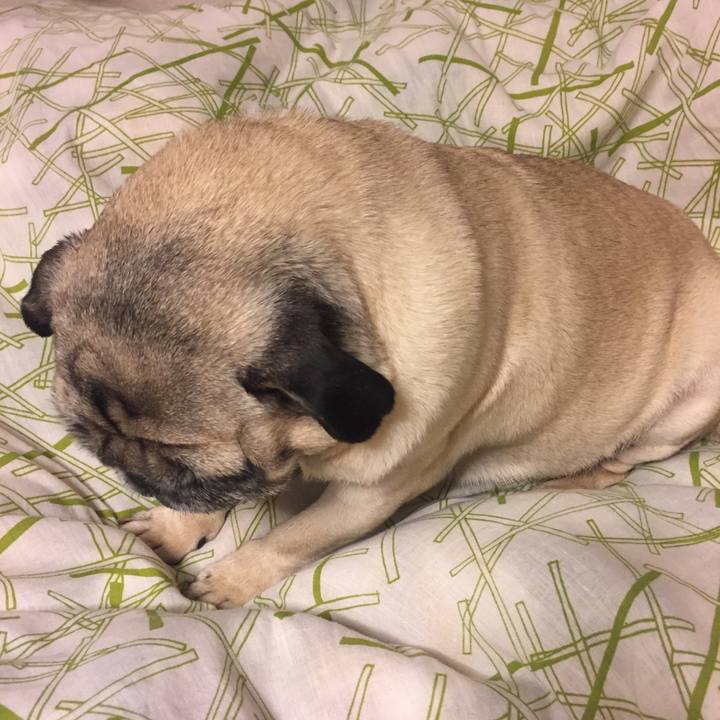 804753da 5542 4c7e 8498 a0aa8f5fb6cb