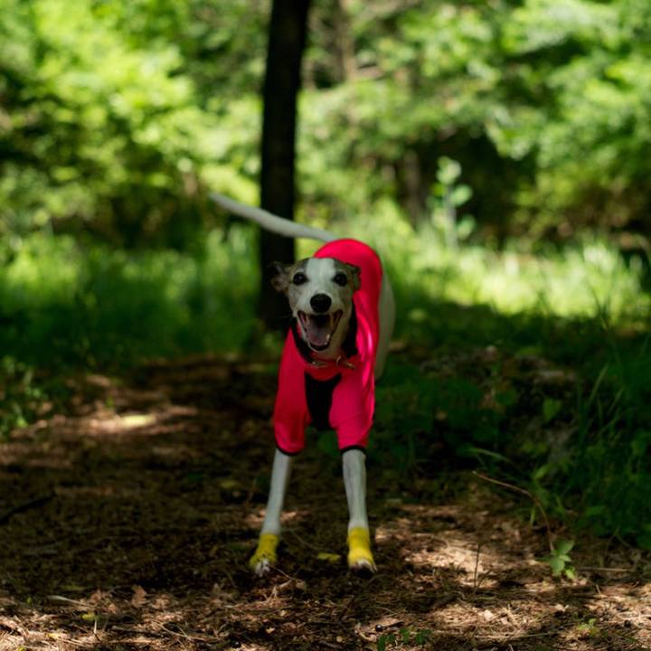 804768d2 09f3 4fa0 8547 90d446116838