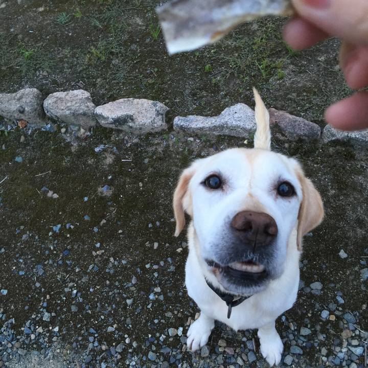 80487030 0c8d 48f7 8d78 07fb20857184