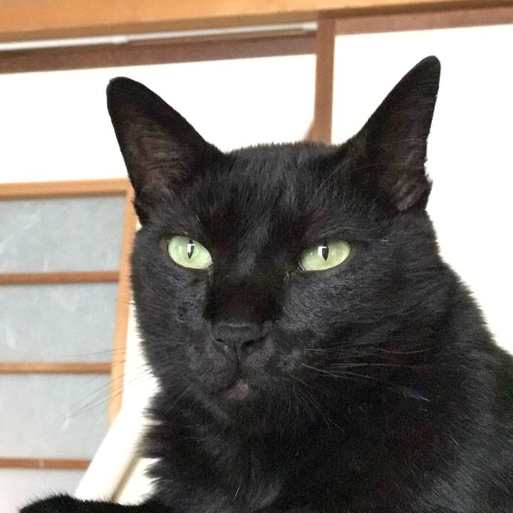 80487eee ccbf 422b a758 34f086107223