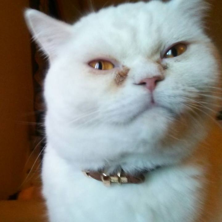 80494198 4286 4f5e b68c c019d0592da4