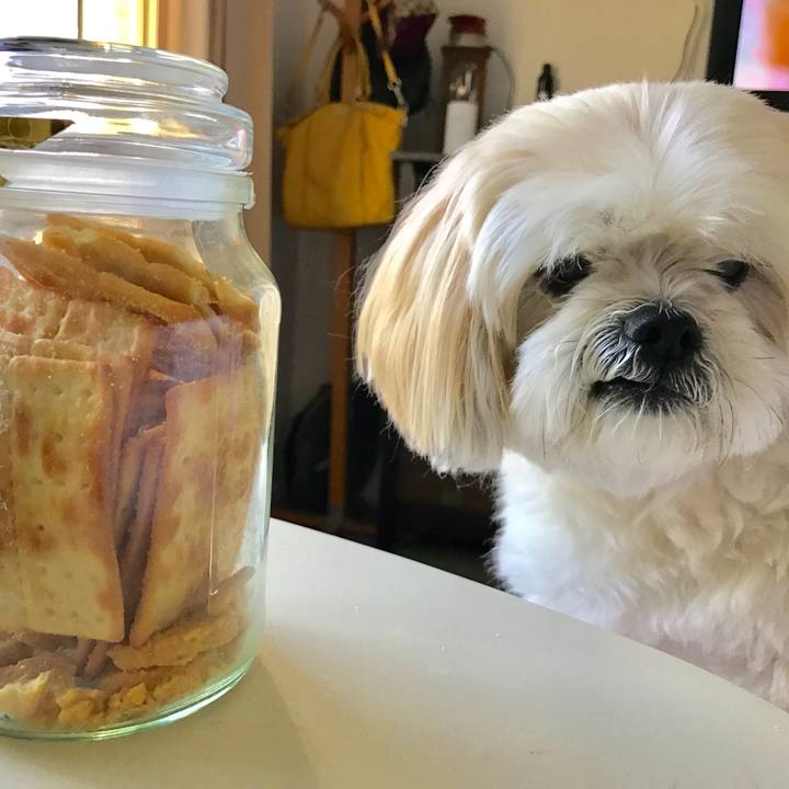 8049c324 23e0 4413 b694 7b03f9e1d3cb