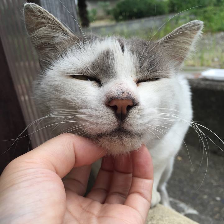 8049f05f 0f1d 4db7 a054 f28820dee067